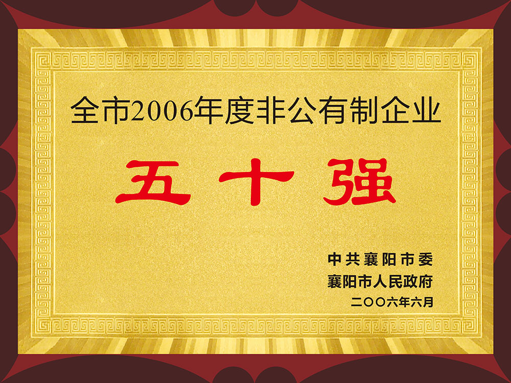 全市2006年度非公有制企業(yè)五十強(qiáng)